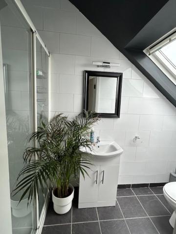 Monkstown  The Lodge, Monkstown מראה חיצוני תמונה
