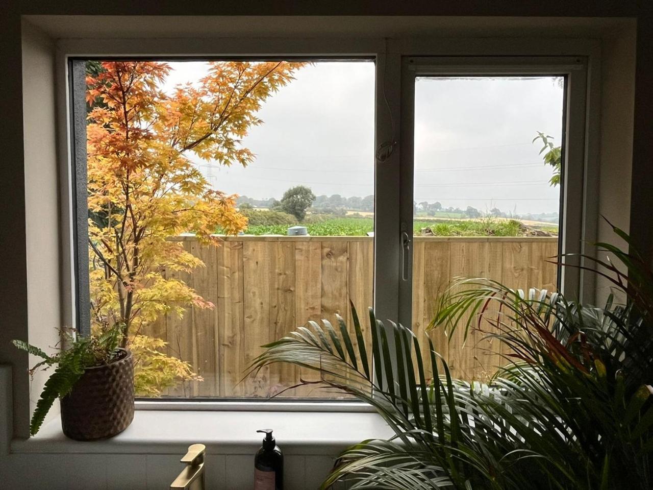 Monkstown  The Lodge, Monkstown מראה חיצוני תמונה